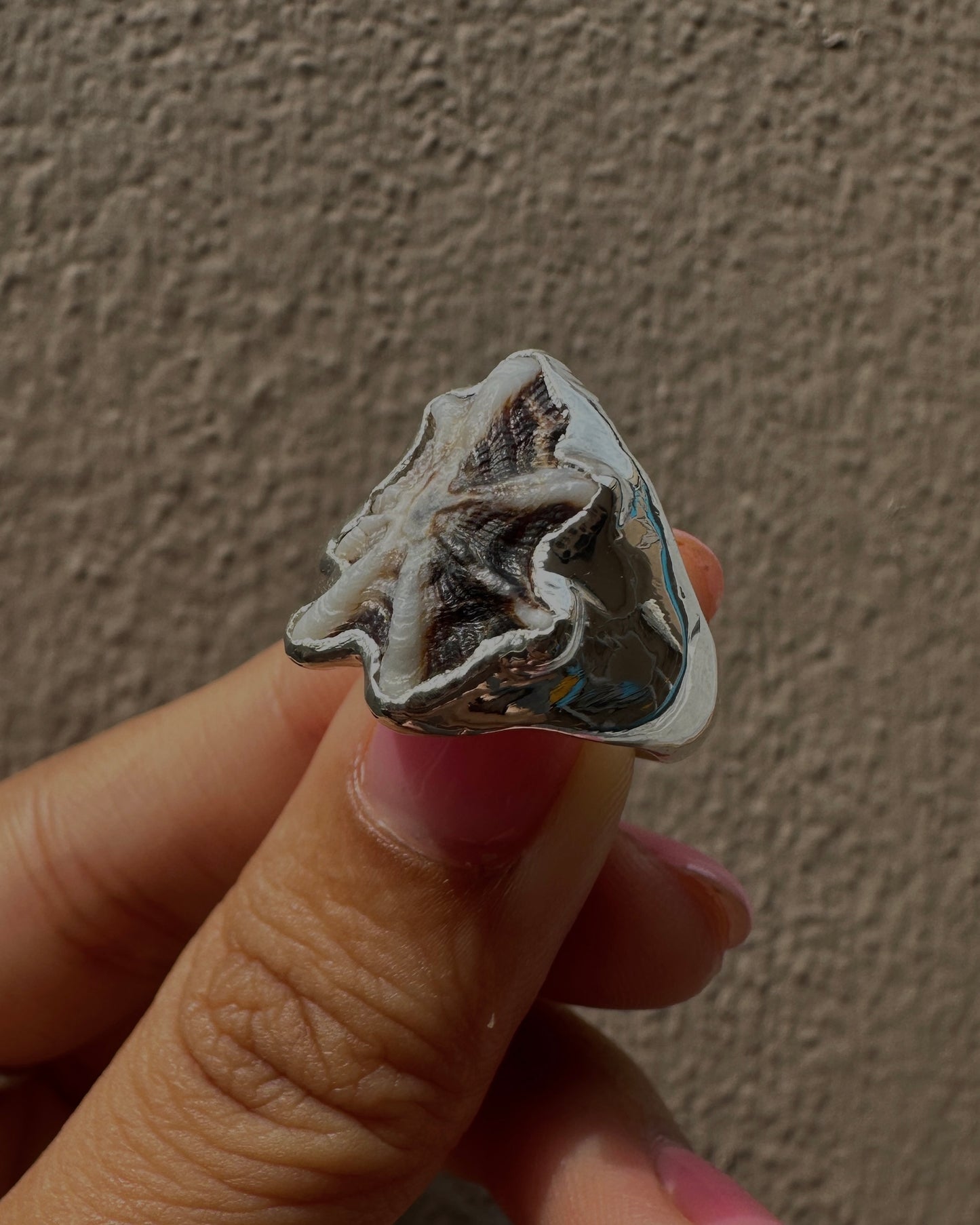 Statement Limpet Shell Ring - 5.25 or 5.5