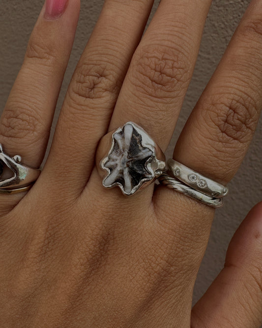 Statement Limpet Shell Ring - 5.25 or 5.5
